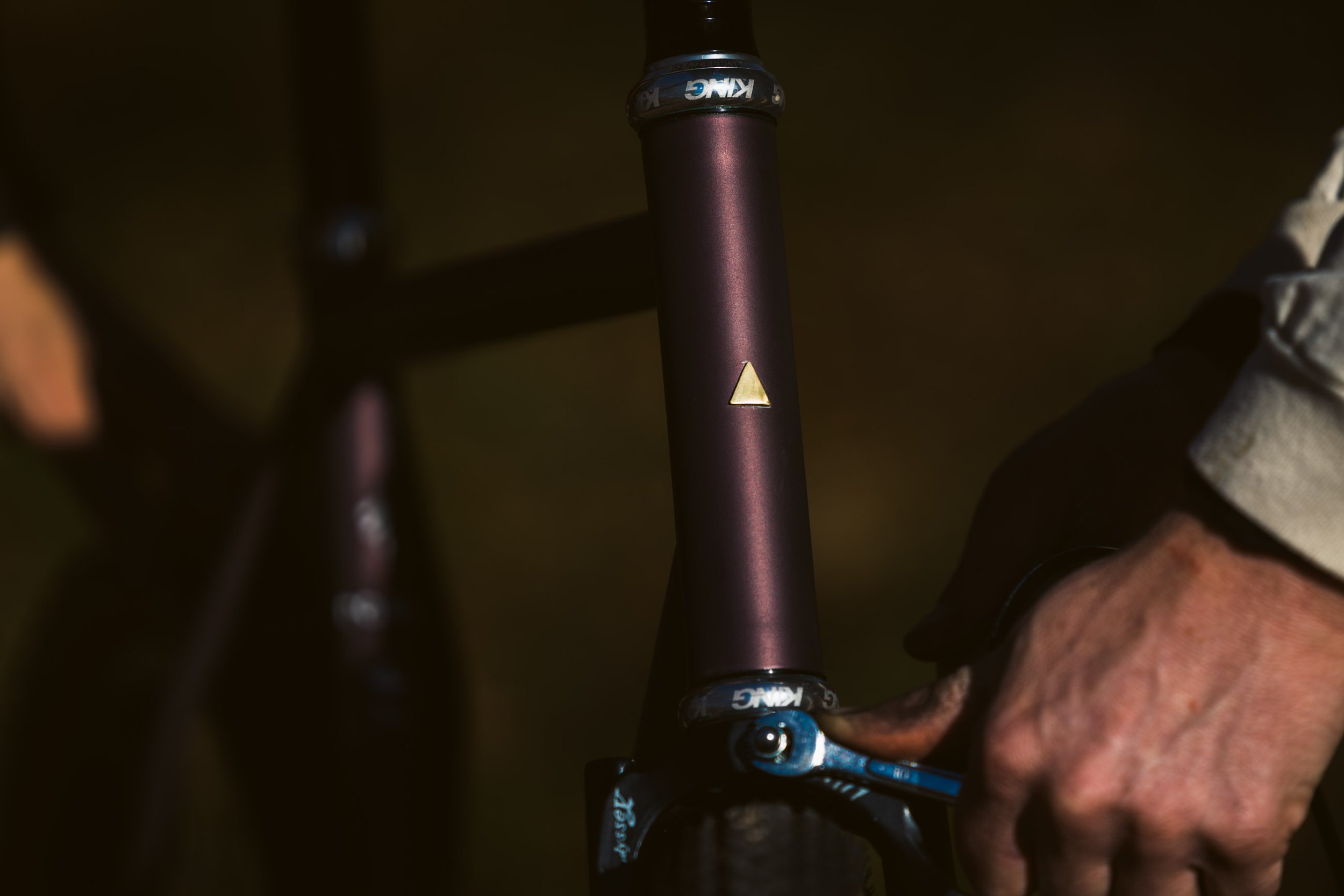 RASA Frame + Steel Disc/Rim Fork — PINE